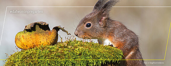 250305_Social_Media_Headerbild_März_2025_NEUES_FORMAT.jpg  